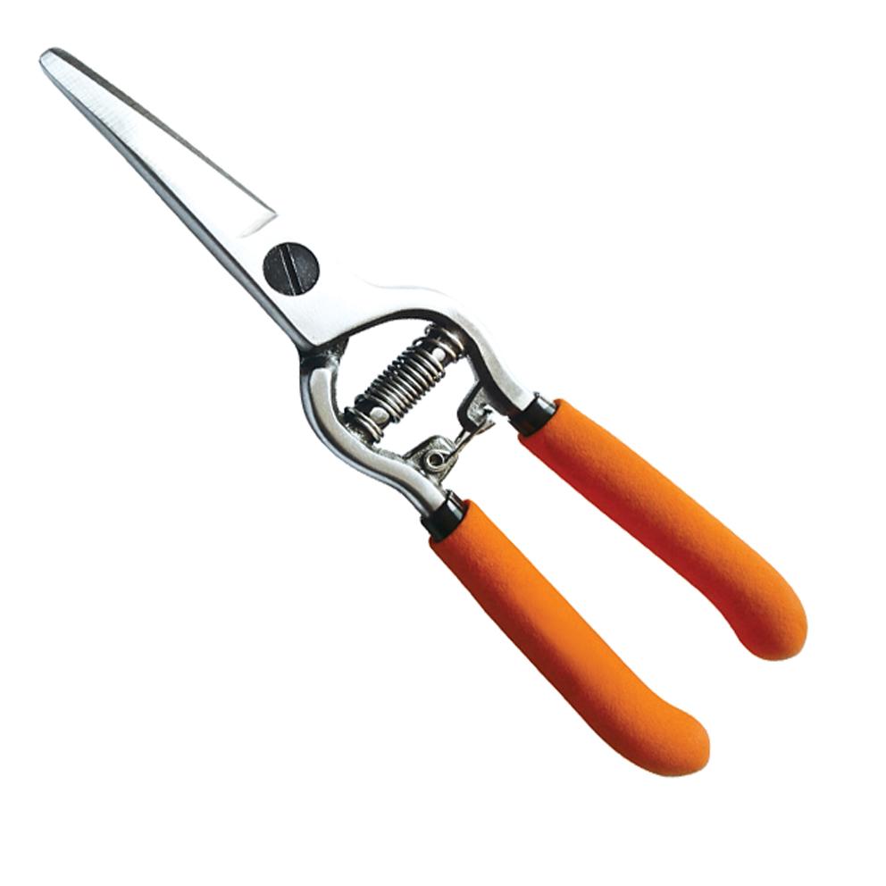 High Carbon Steel Drop Forged Grape Shears, Fruit Pickers, Curved Blade